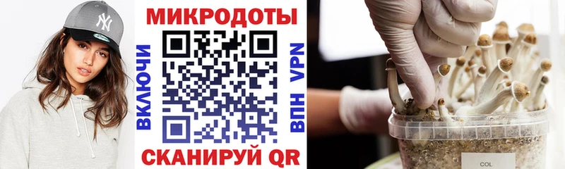 Псилоцибиновые грибы мицелий  мега зеркало  даркнет официальный сайт  Ханты-Мансийск 
